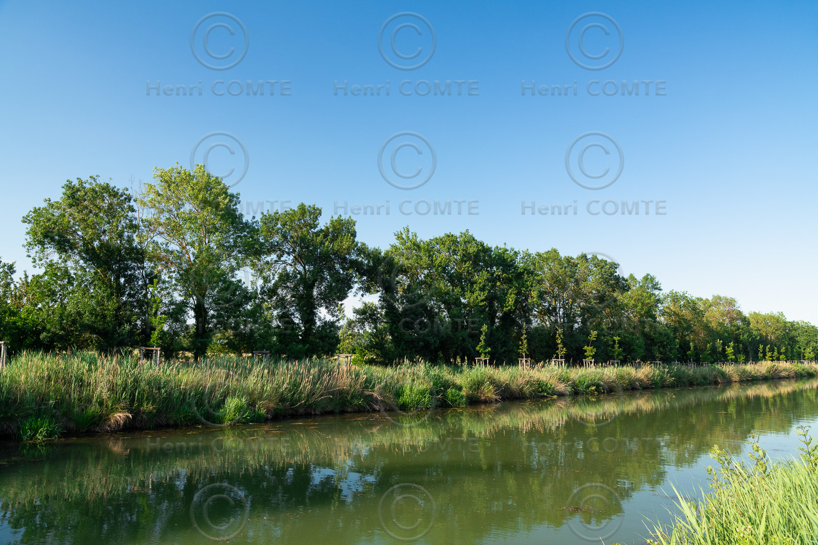 Canal du Midi