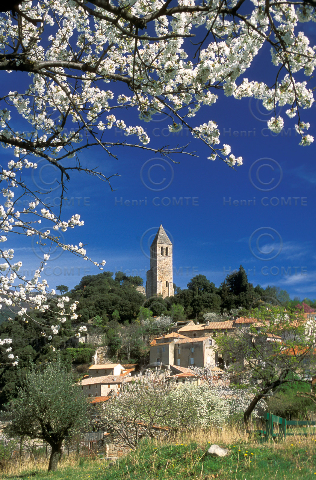 Olargues