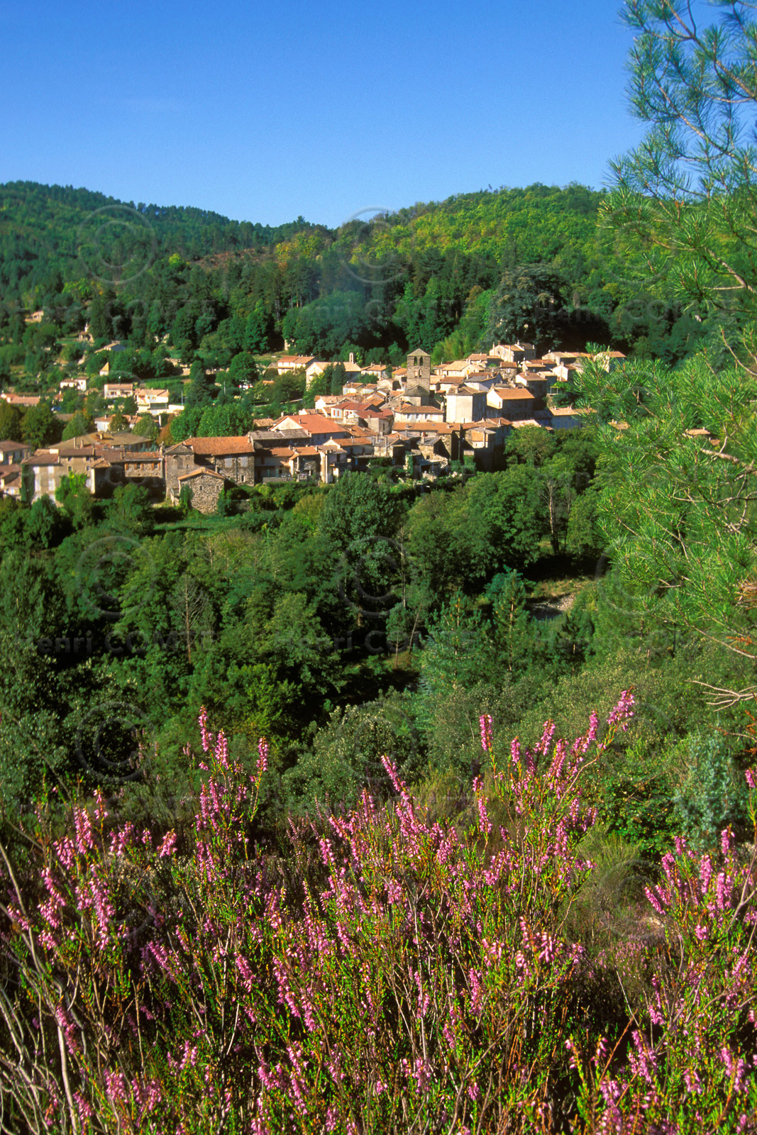 Vallée Française