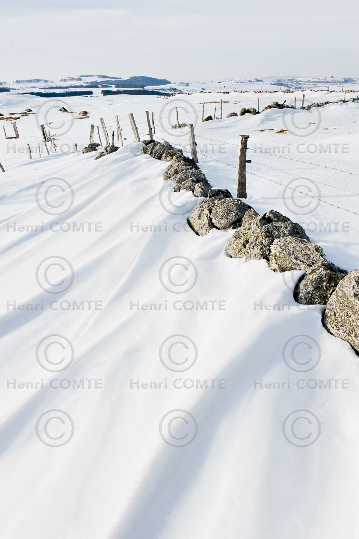 Aubrac