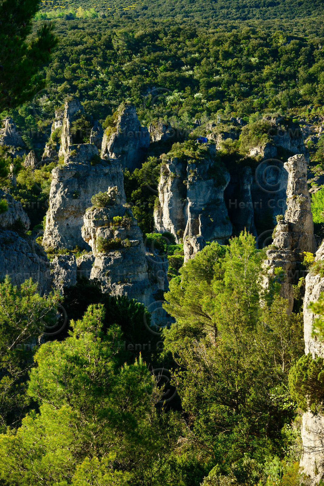 Cirque de Moureze