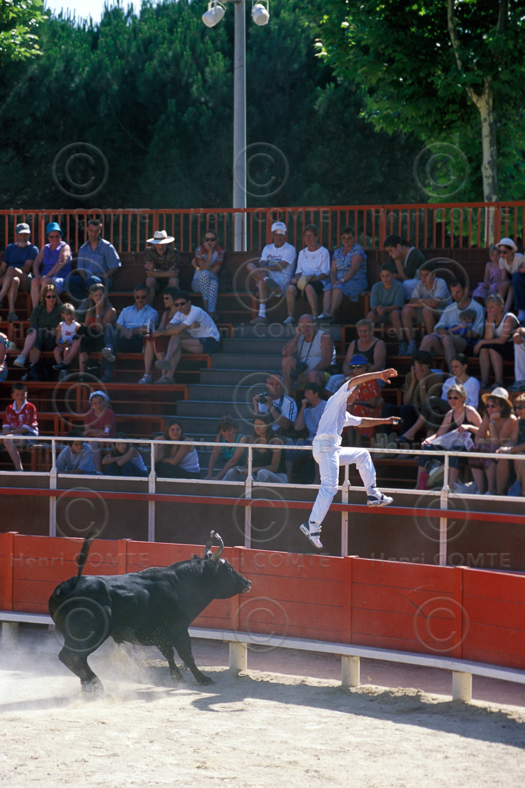 Course camarguaise