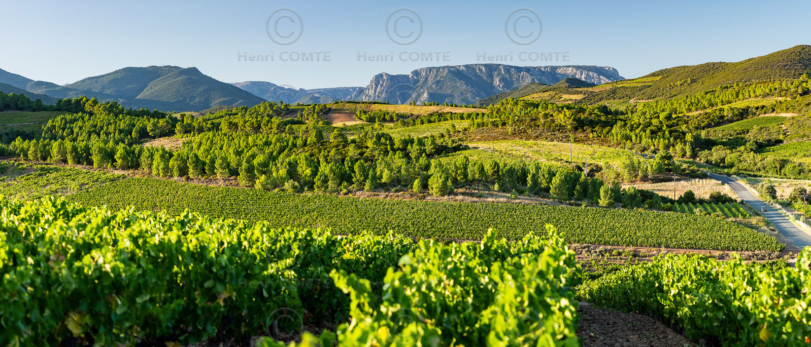 Saint-Chinian
