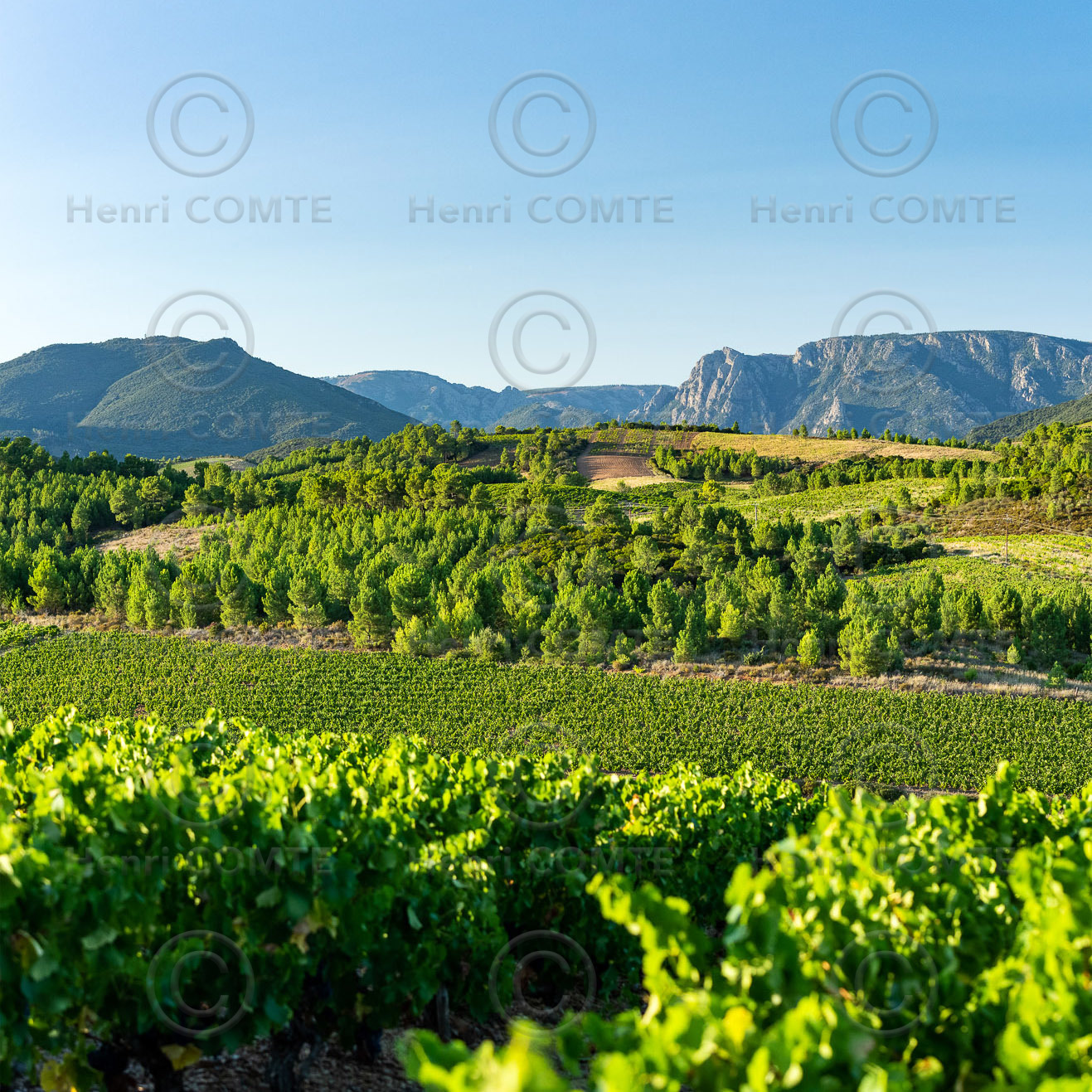 Saint-Chinian