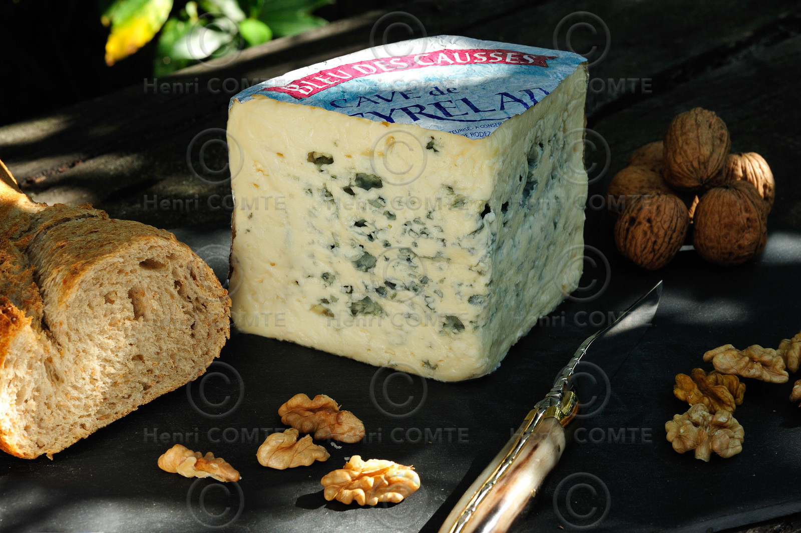 Bleu des Causses
