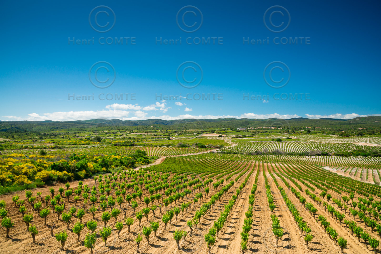 Minervois