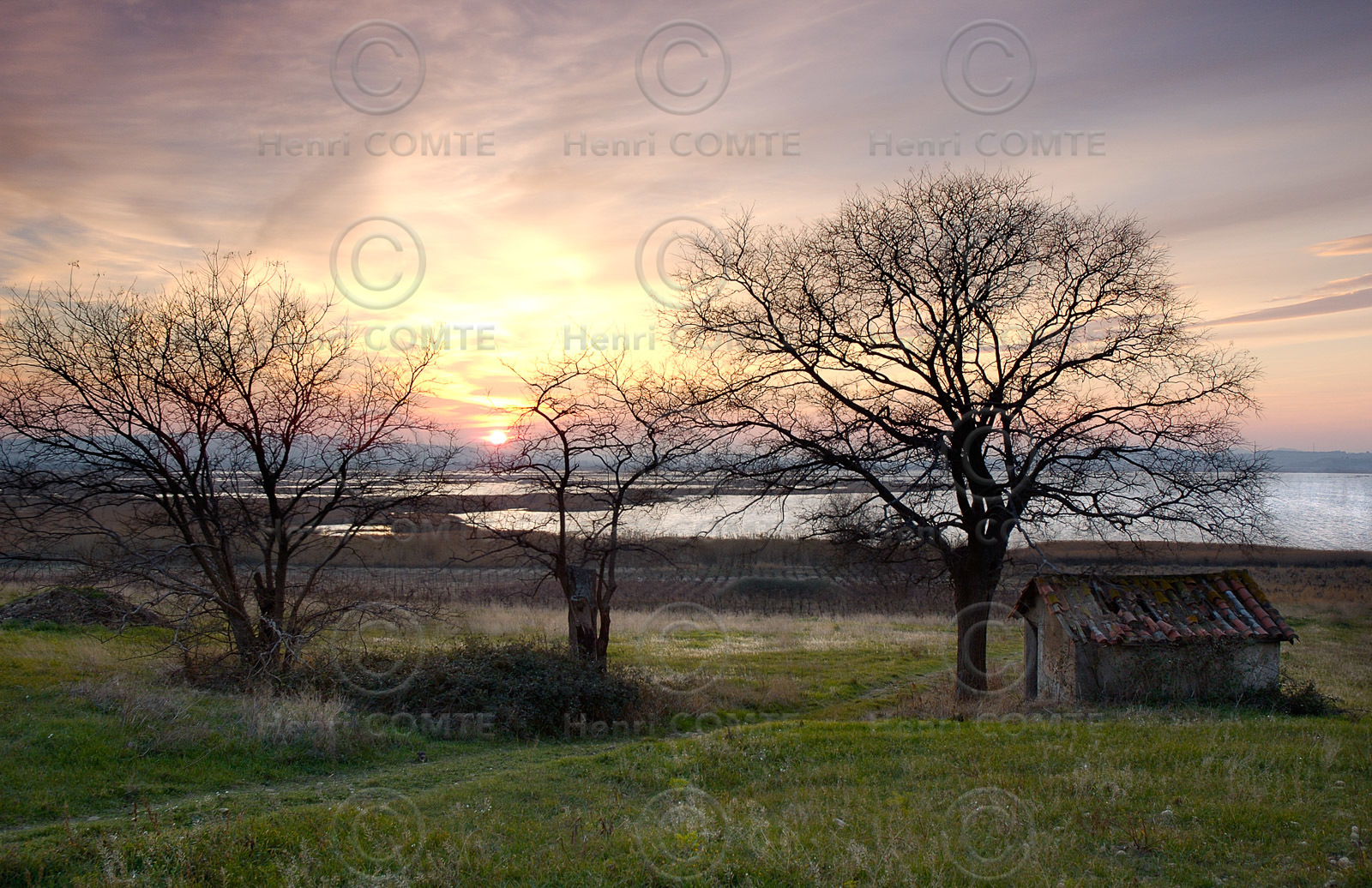 Etang de Vendres
