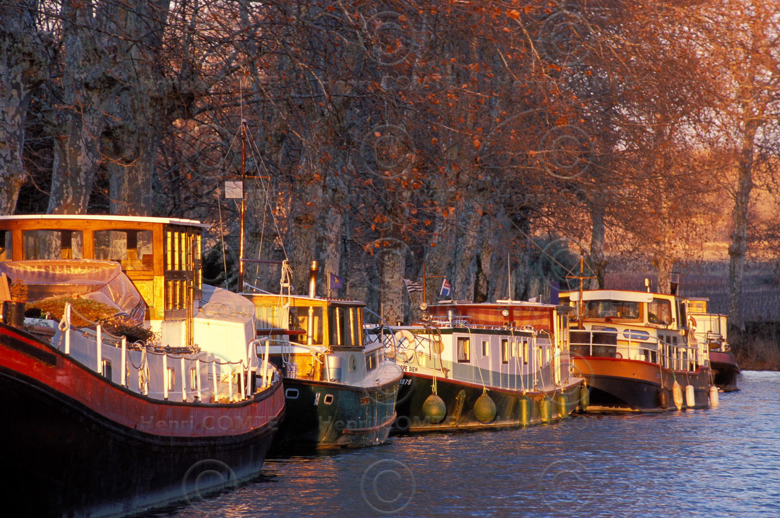 Le canal du Midi