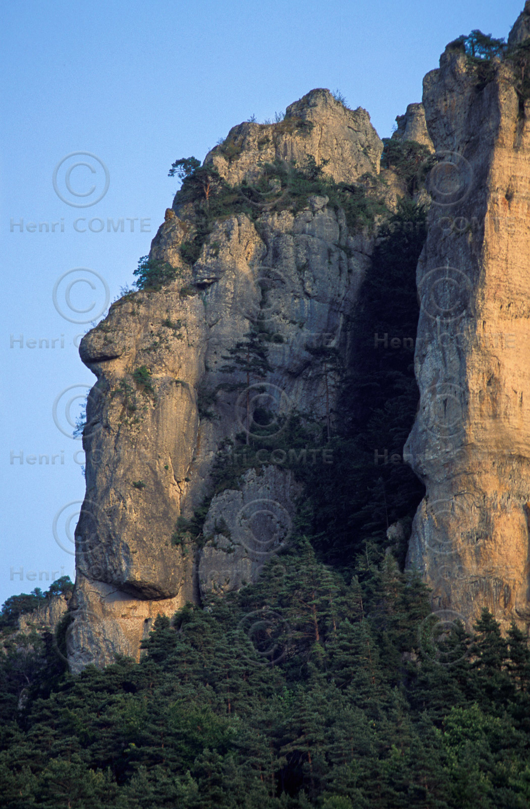 Gorges de la Jonte