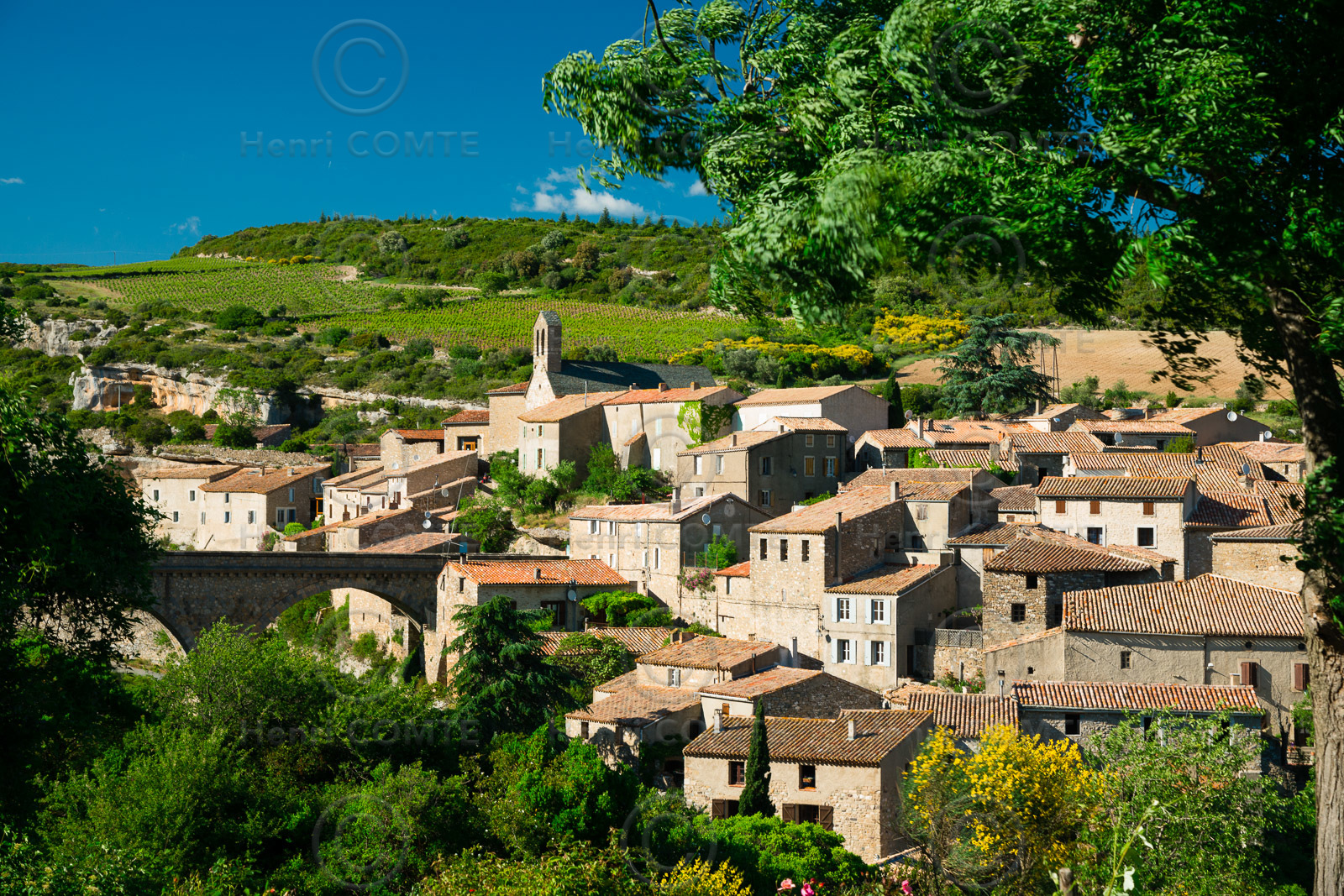Minerve