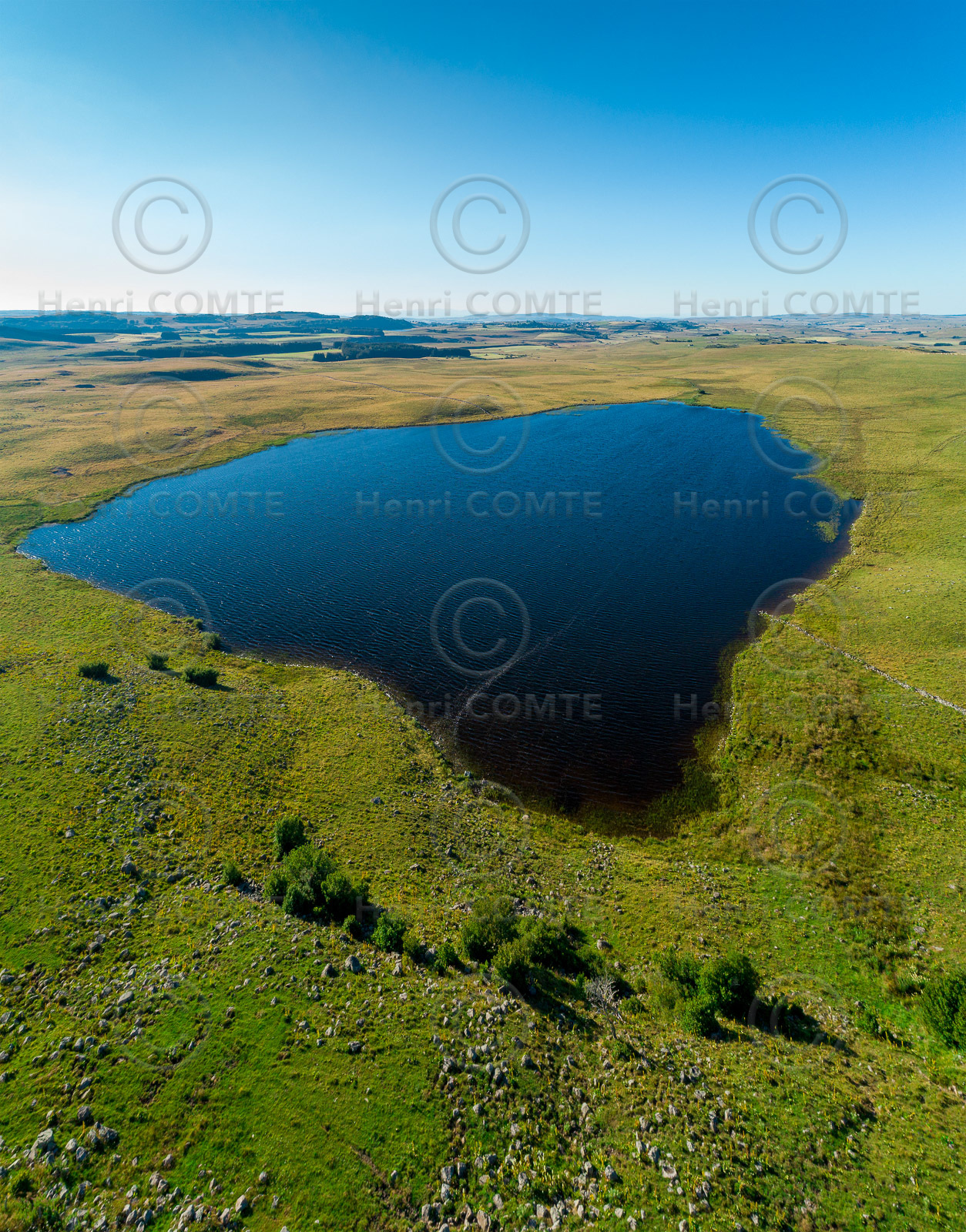 Aubrac