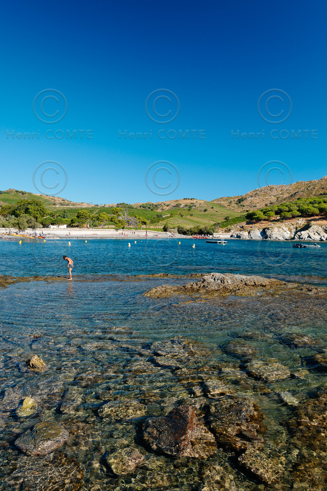 Anse de Paulilles