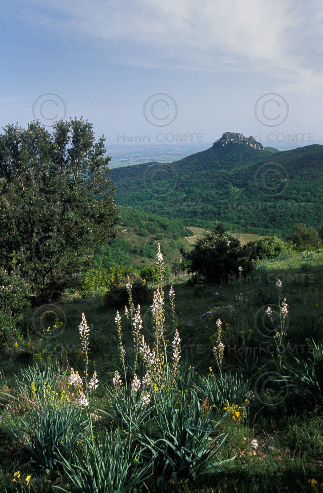 Les Avant-Causses