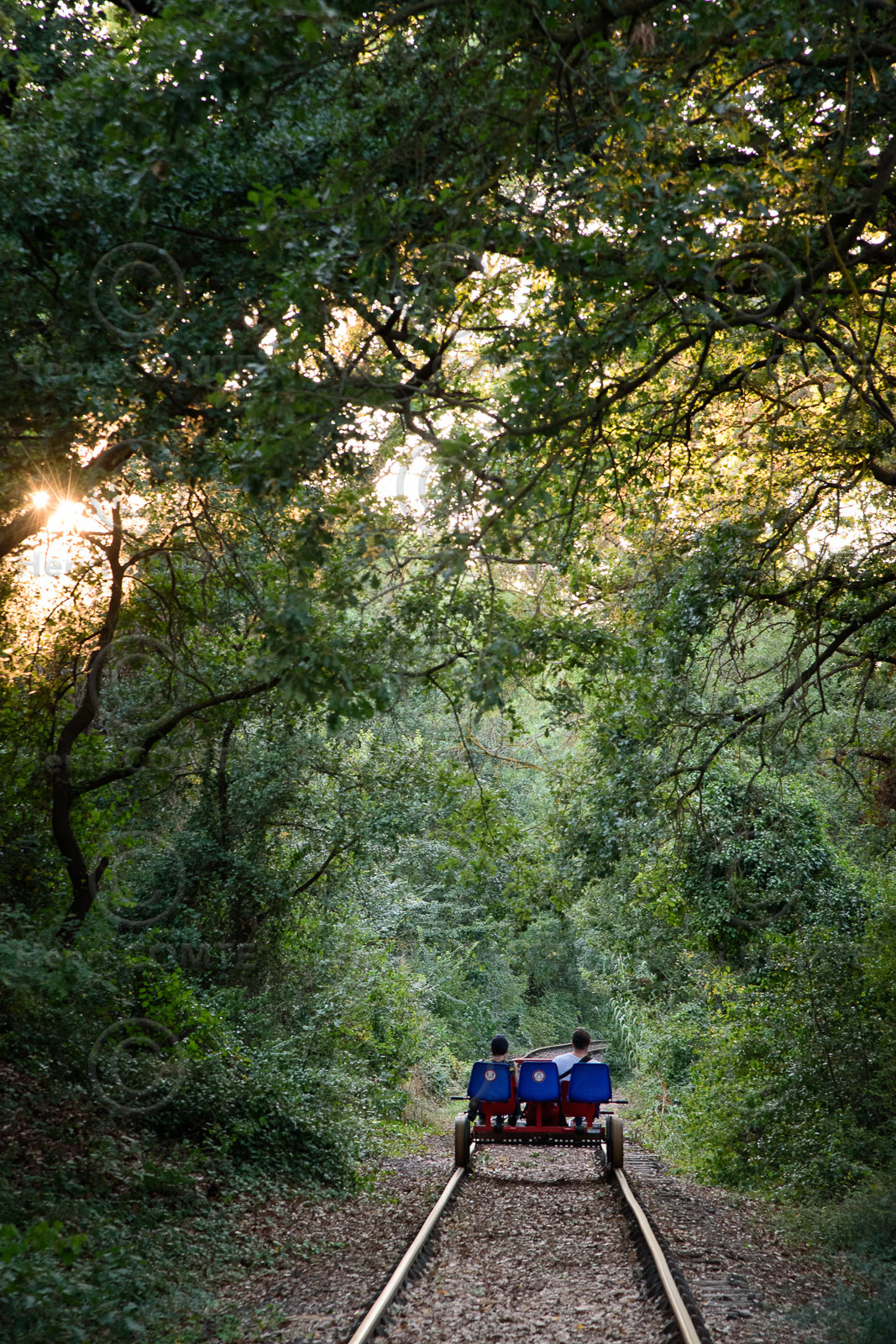 Pedalorail