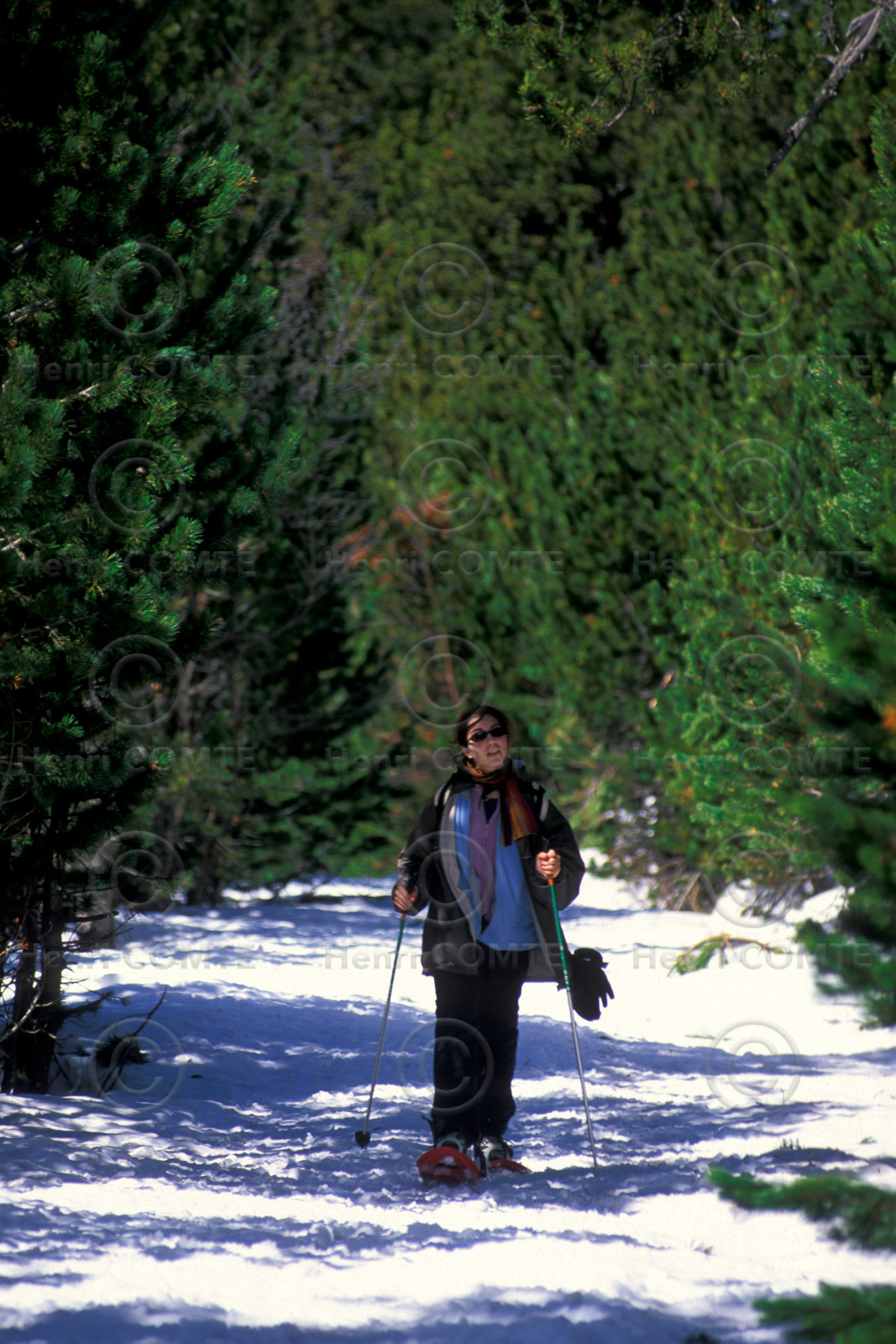 Sport d'hiver