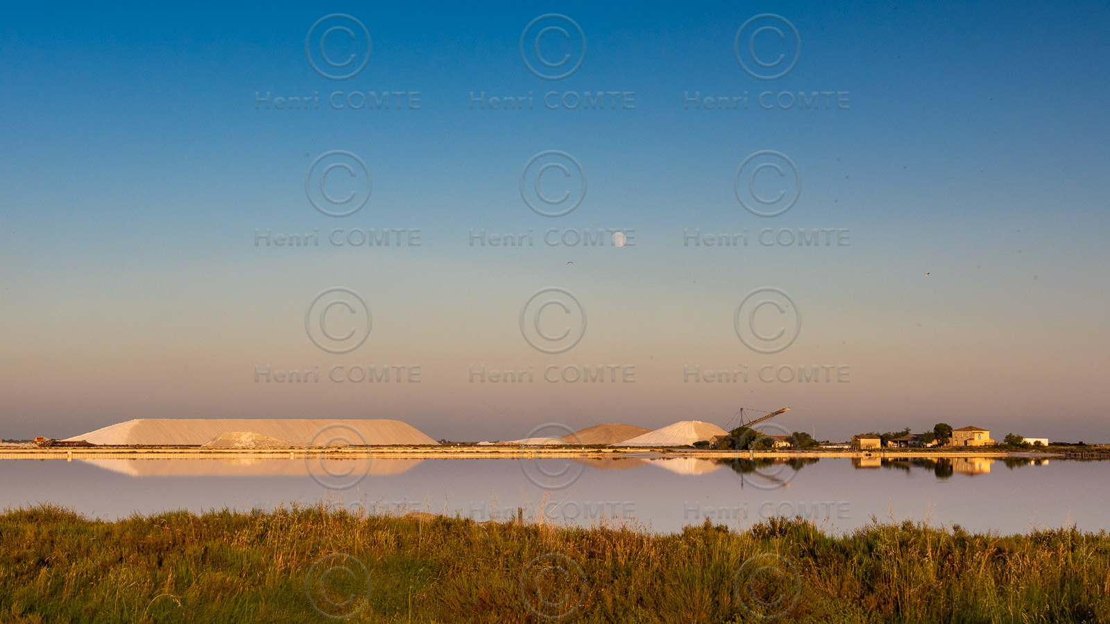 Salins