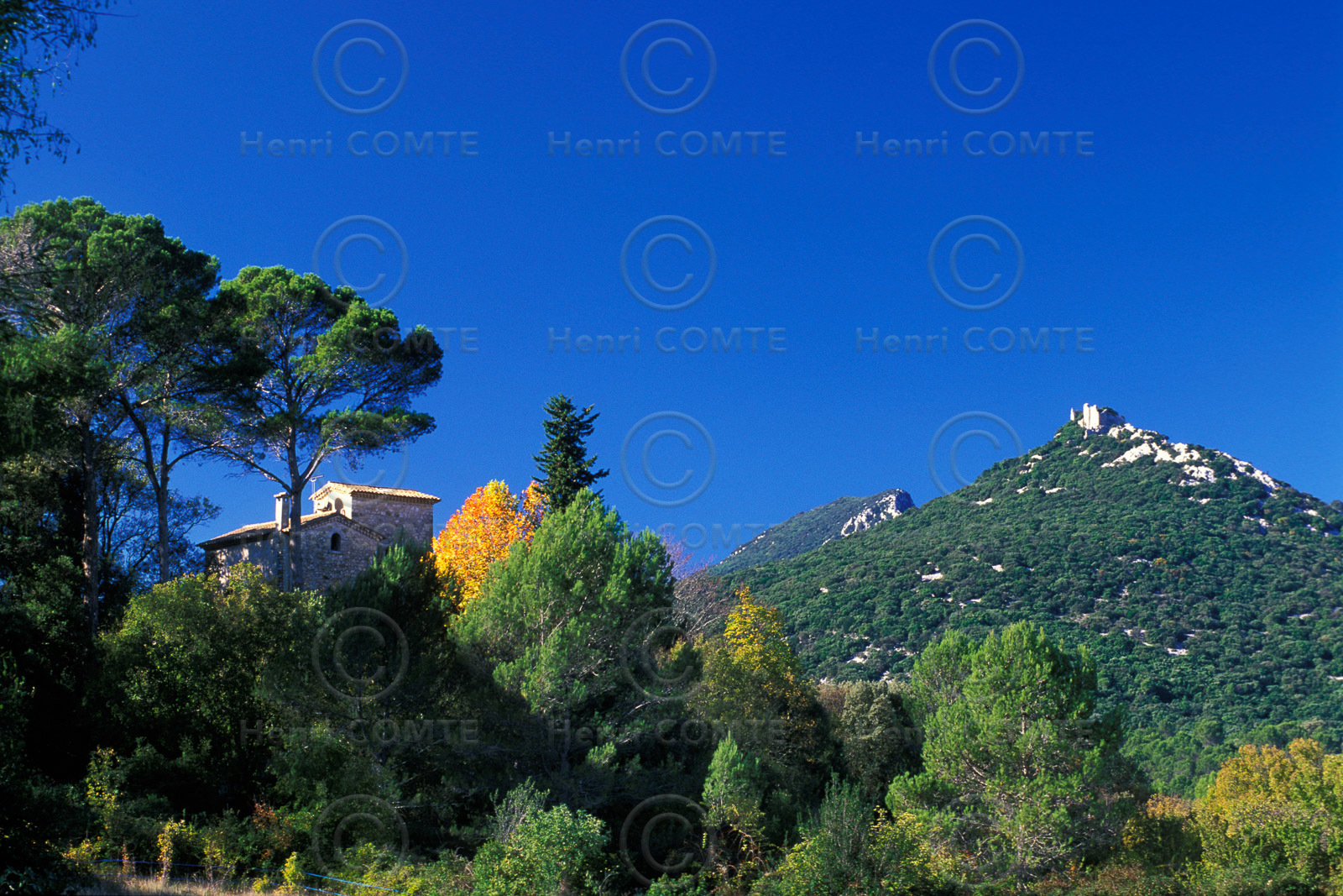 Pic Saint Loup