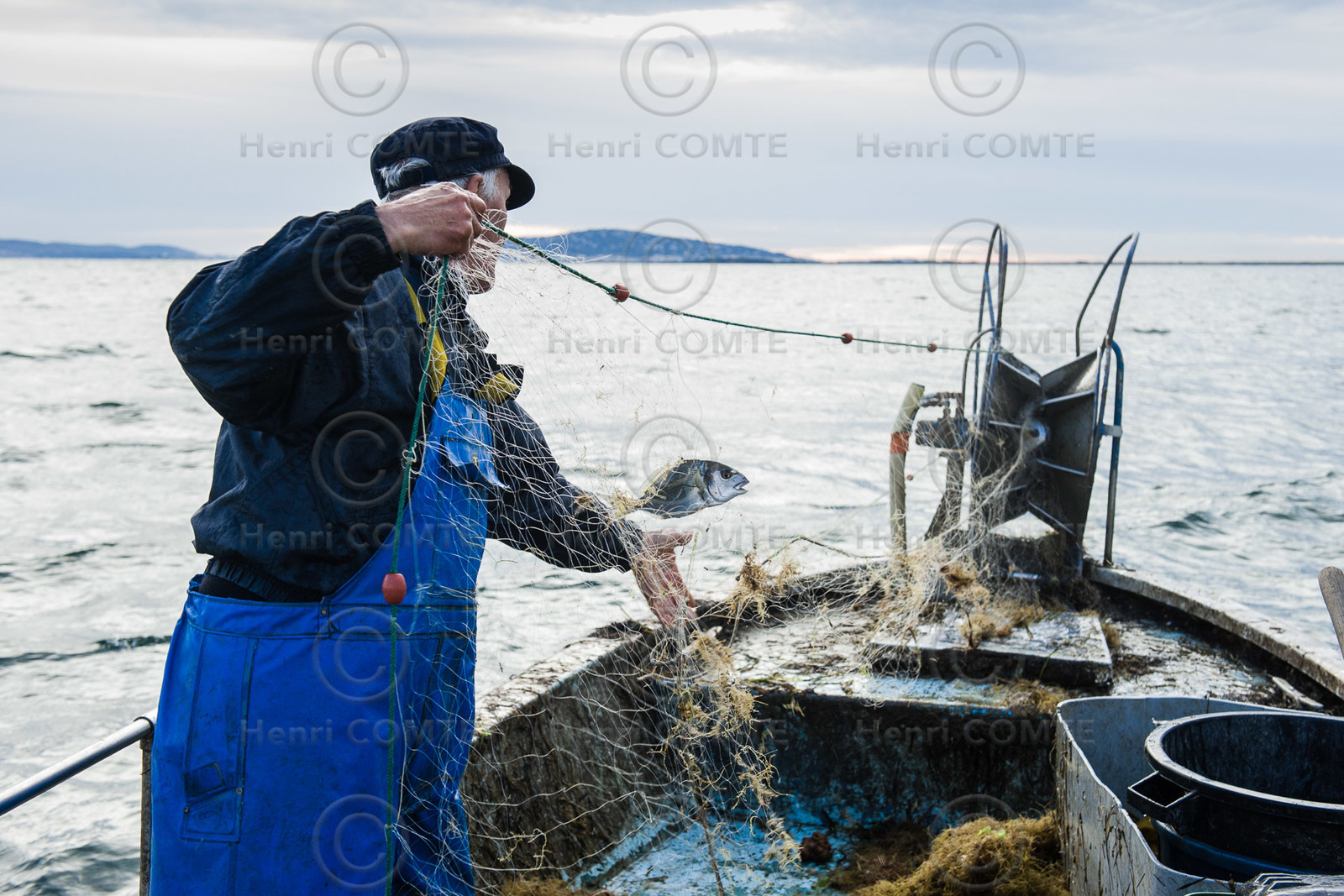 Pêche étang de thau