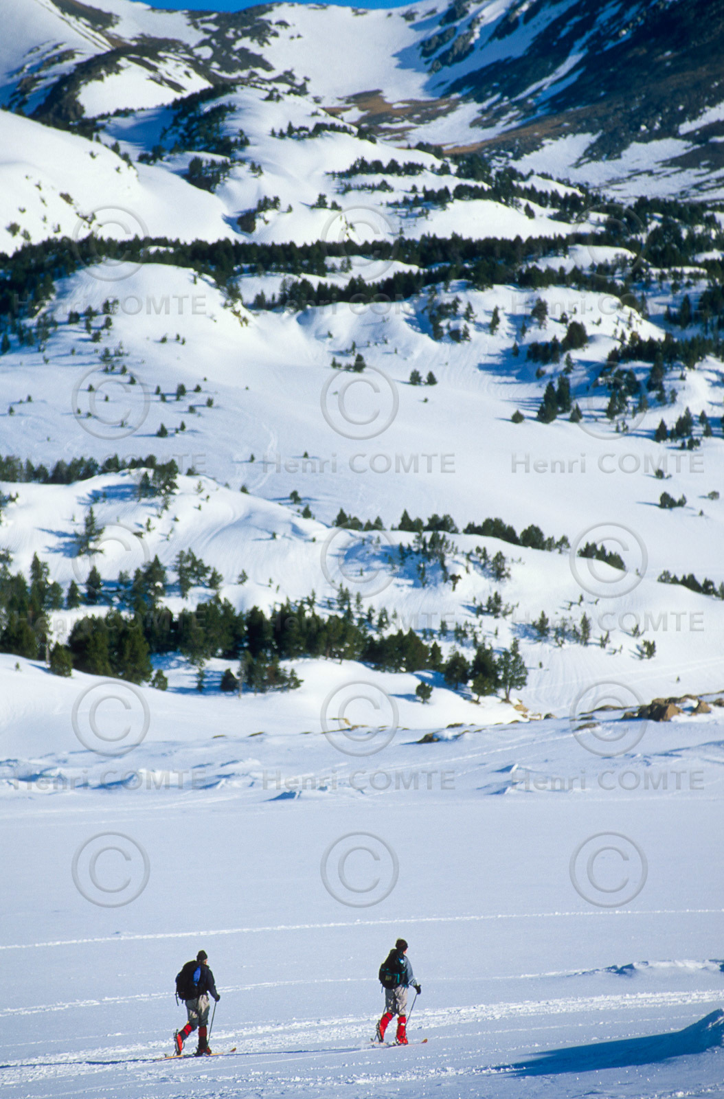 Sport d'hiver