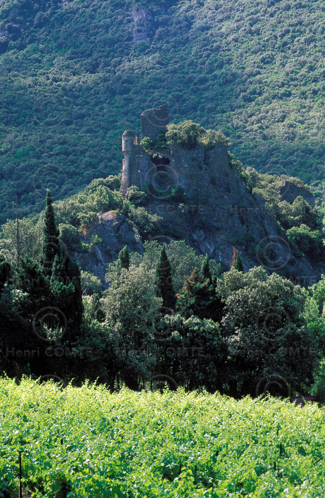 Chateau cathare