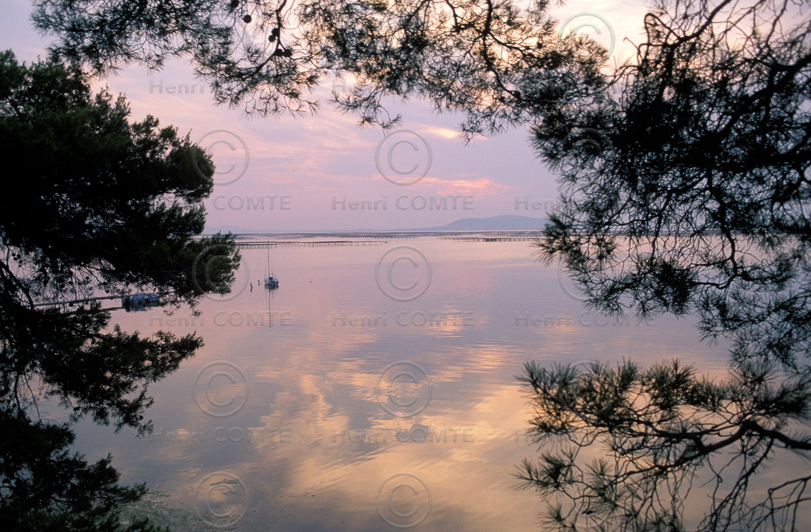 Etang de Thau
