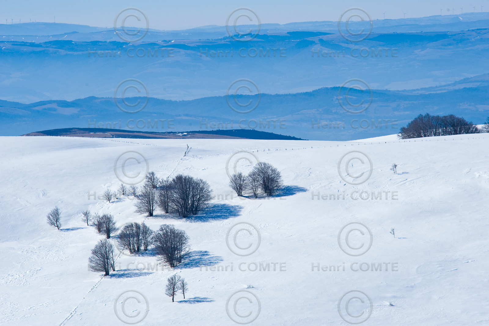 Aubrac