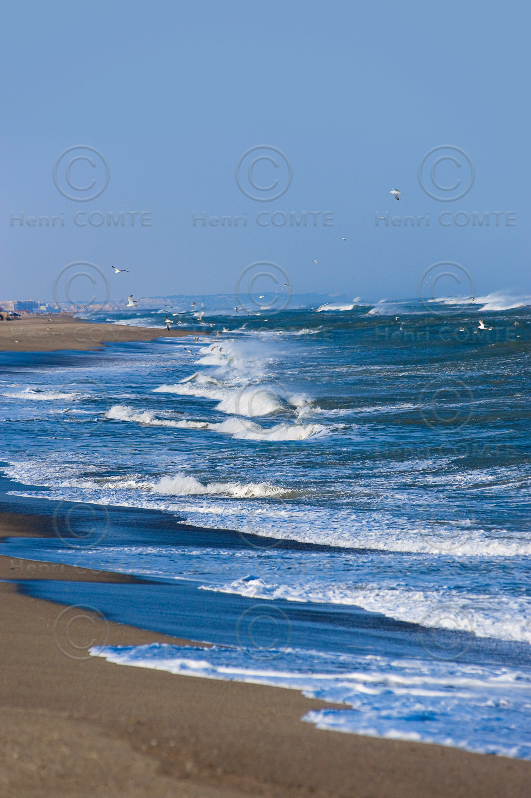 Plage de Toreilles
