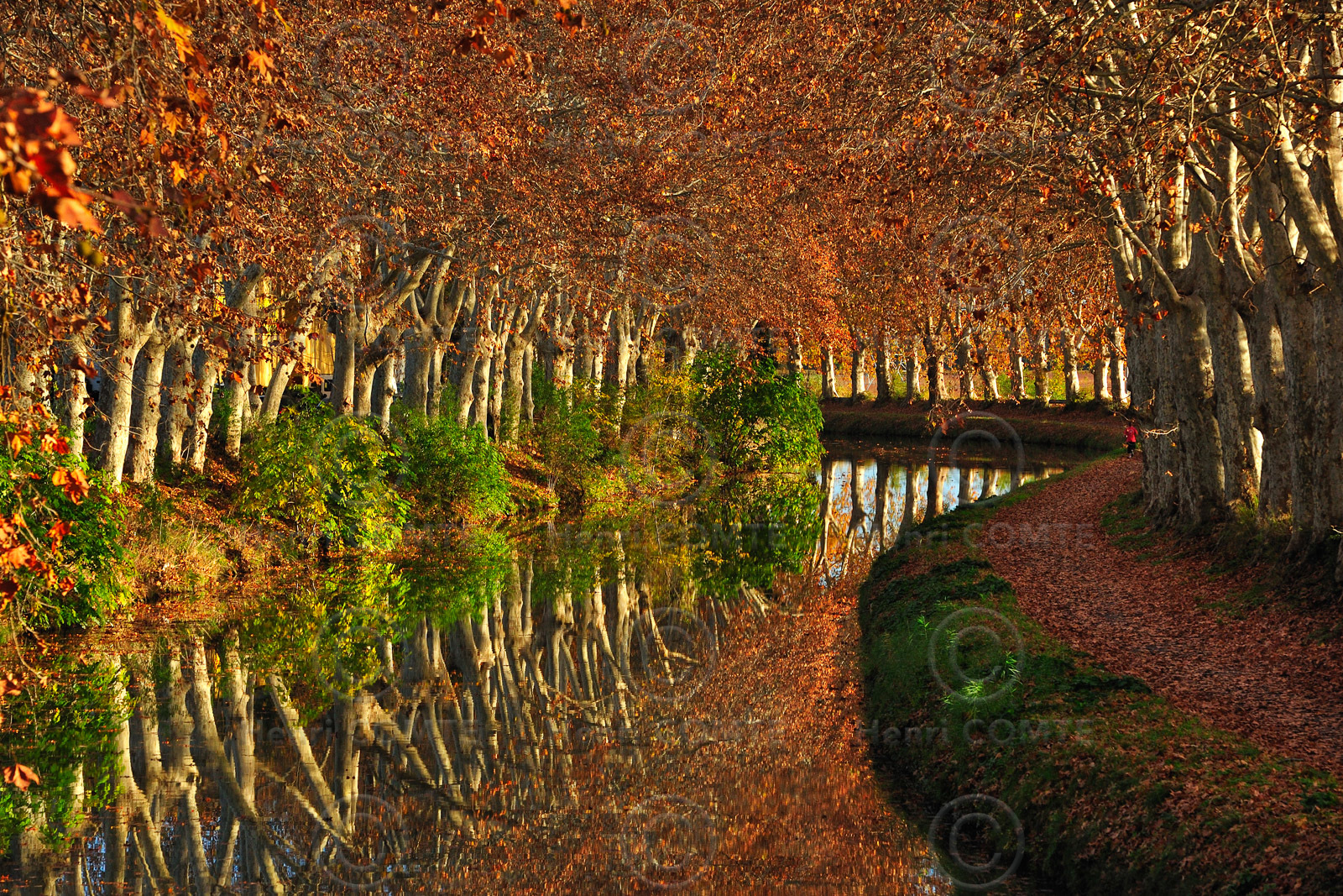 Le canal du Midi