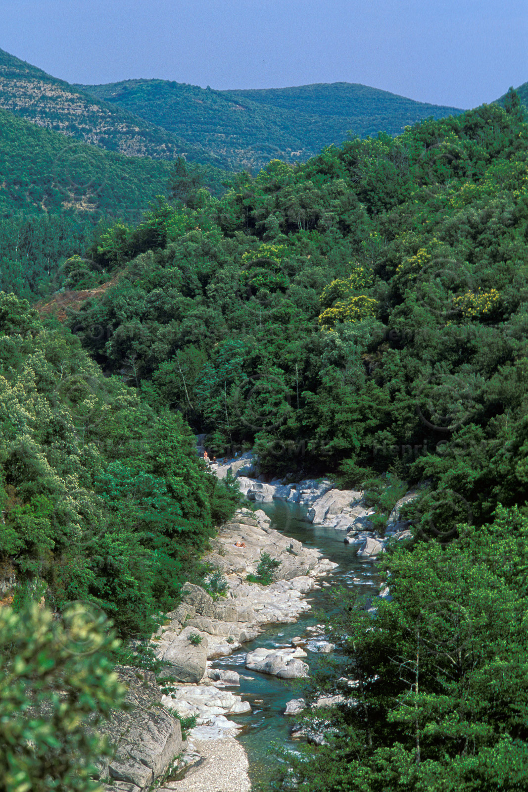 Gorges du Gardon