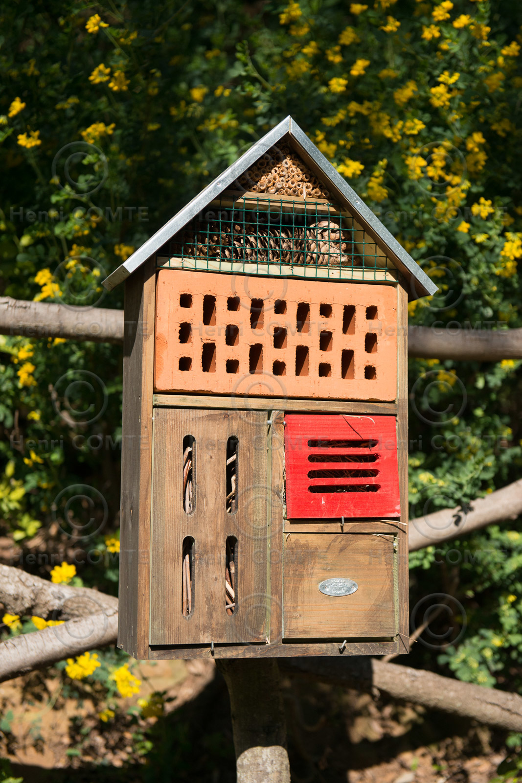 Refuge