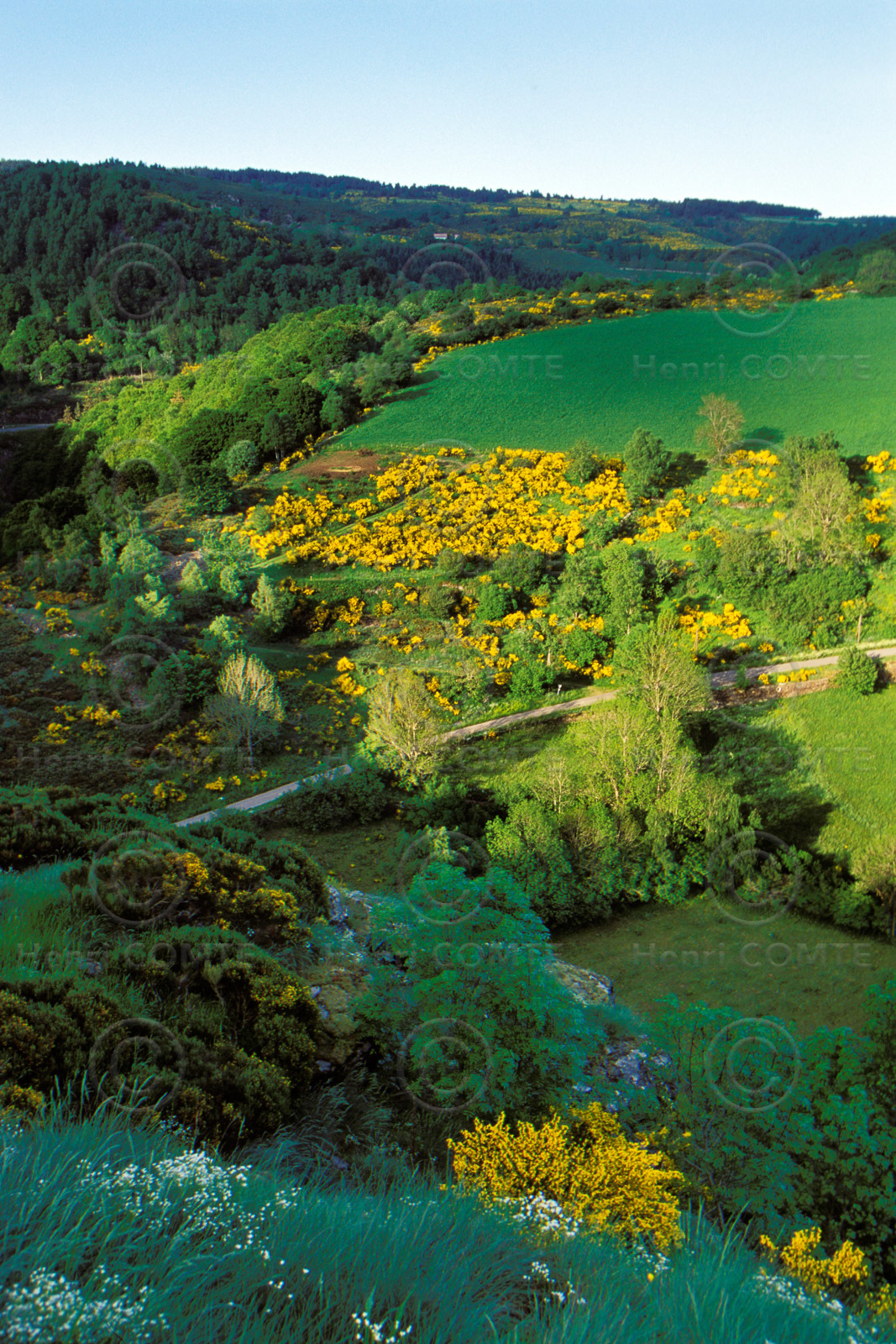 Paysage de Lozère