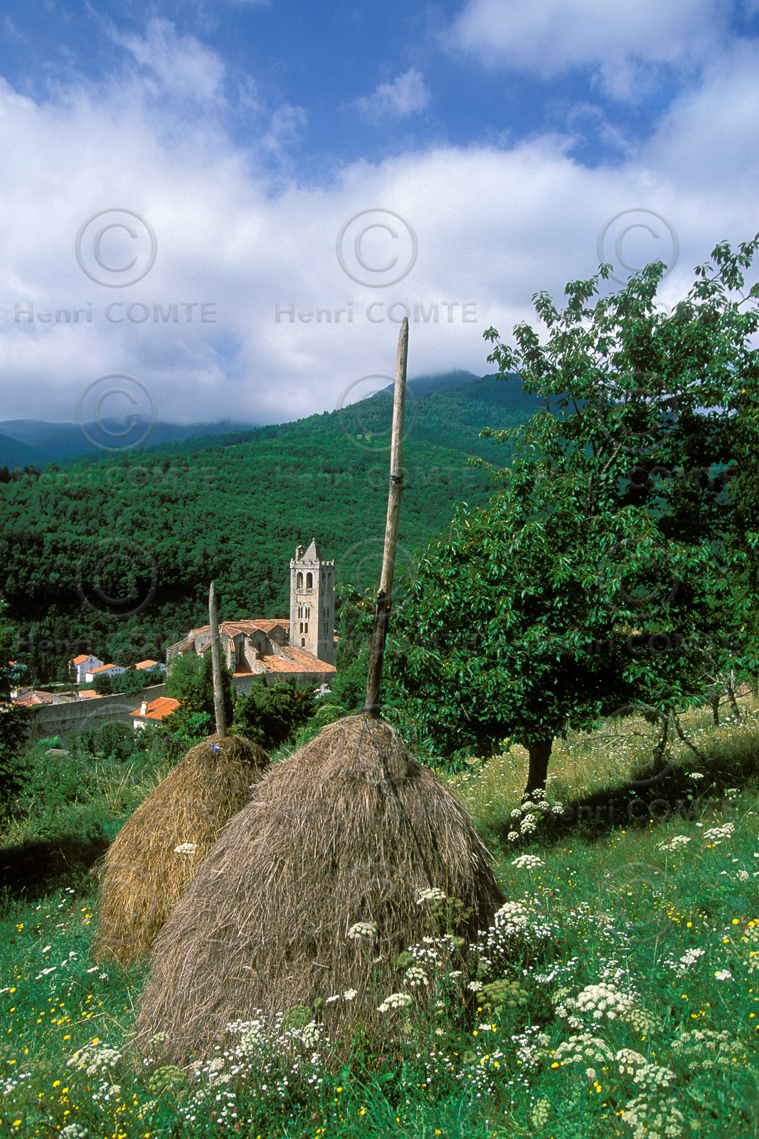 Prats de Mollo