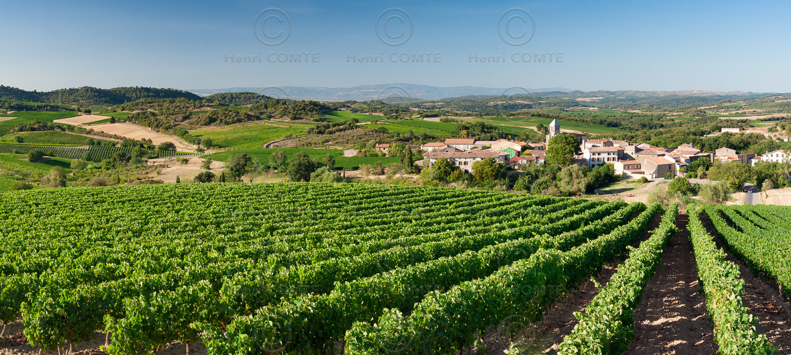 Vignoble de Limoux