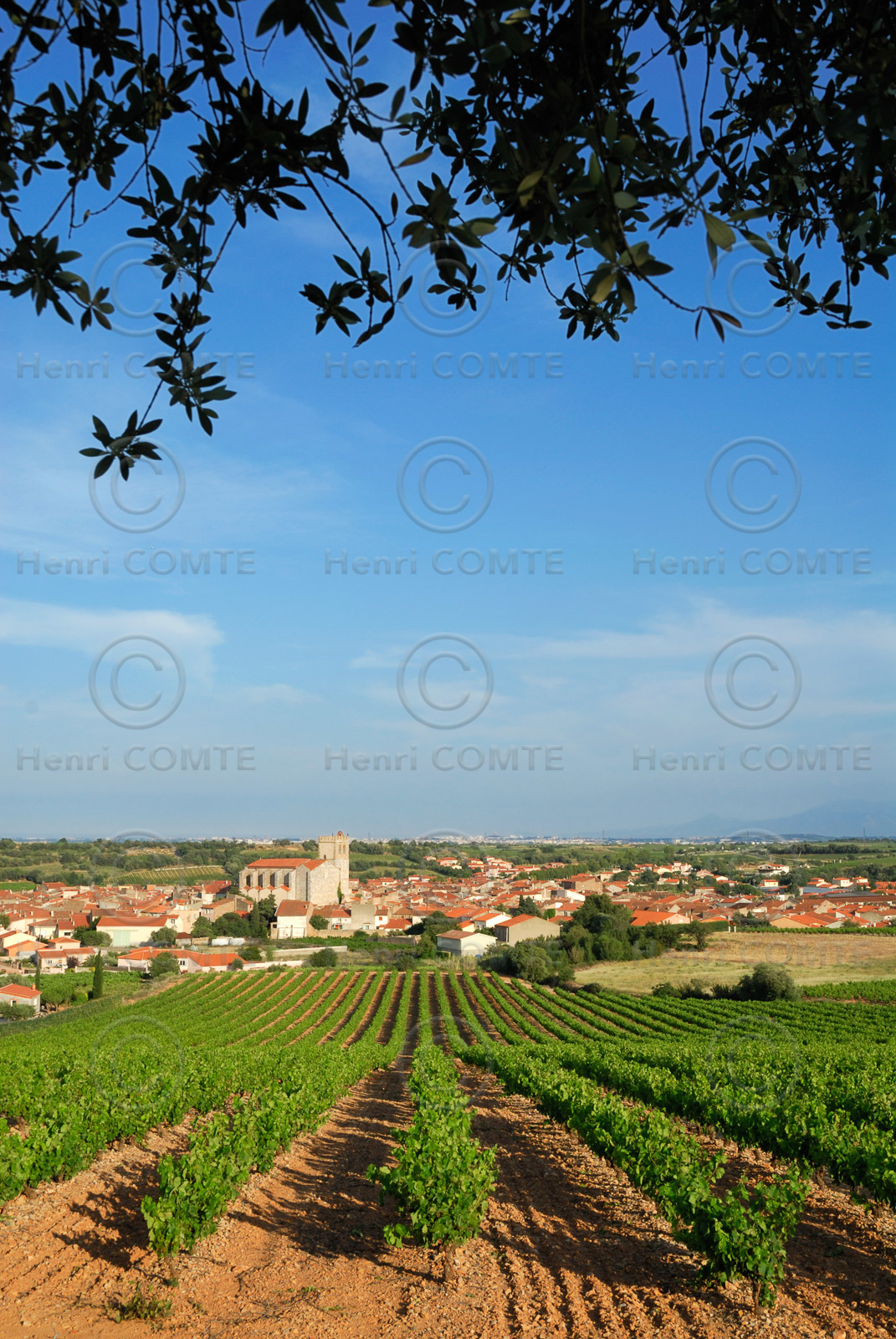 Baixas