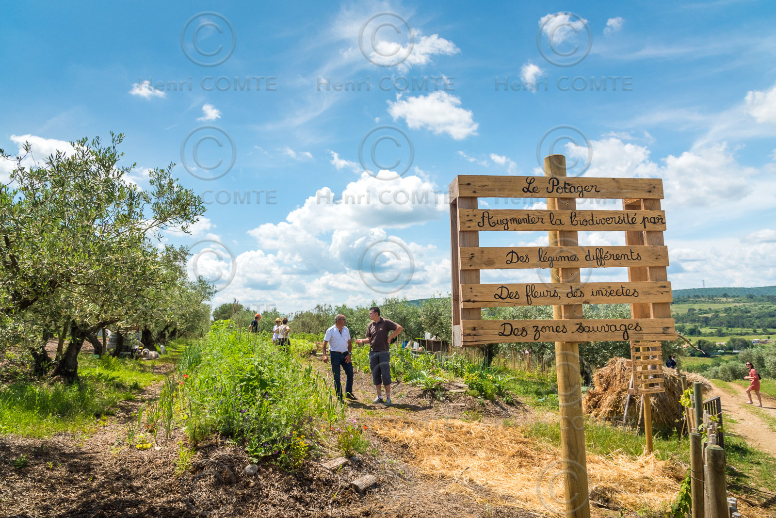 Permaculture