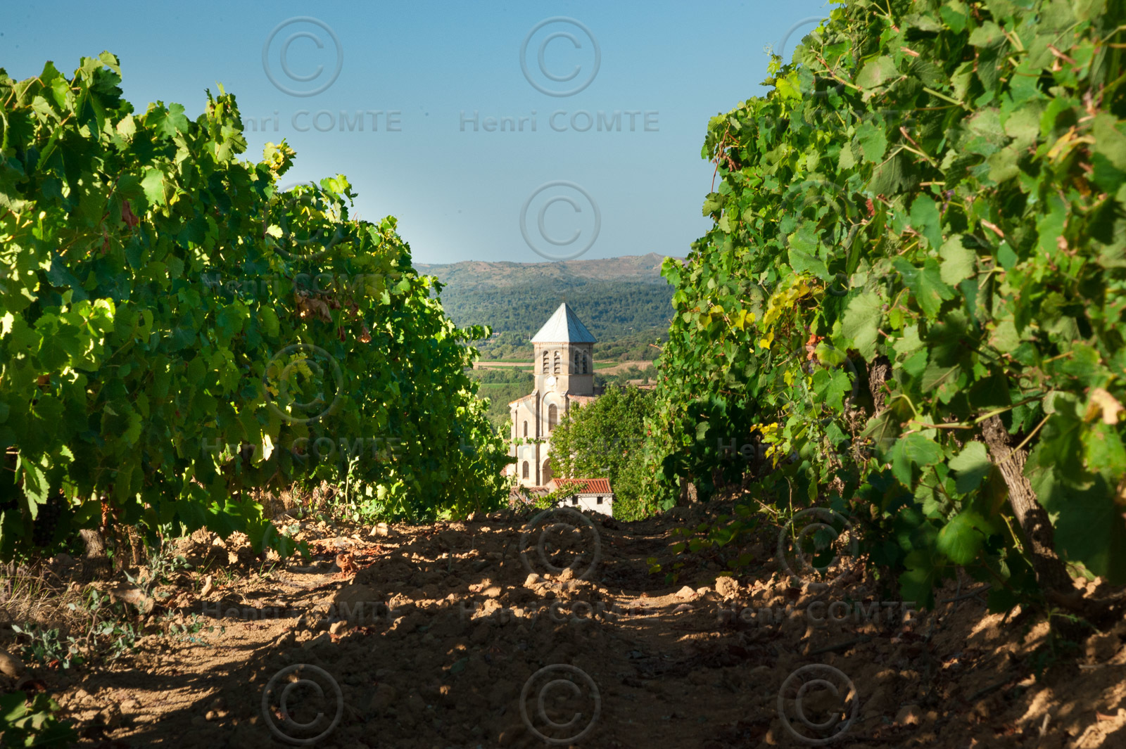 Vignoble de Limoux