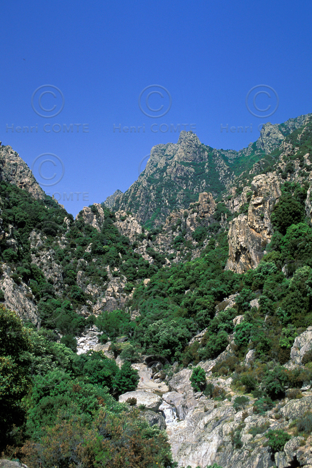 Gorges d'Héric