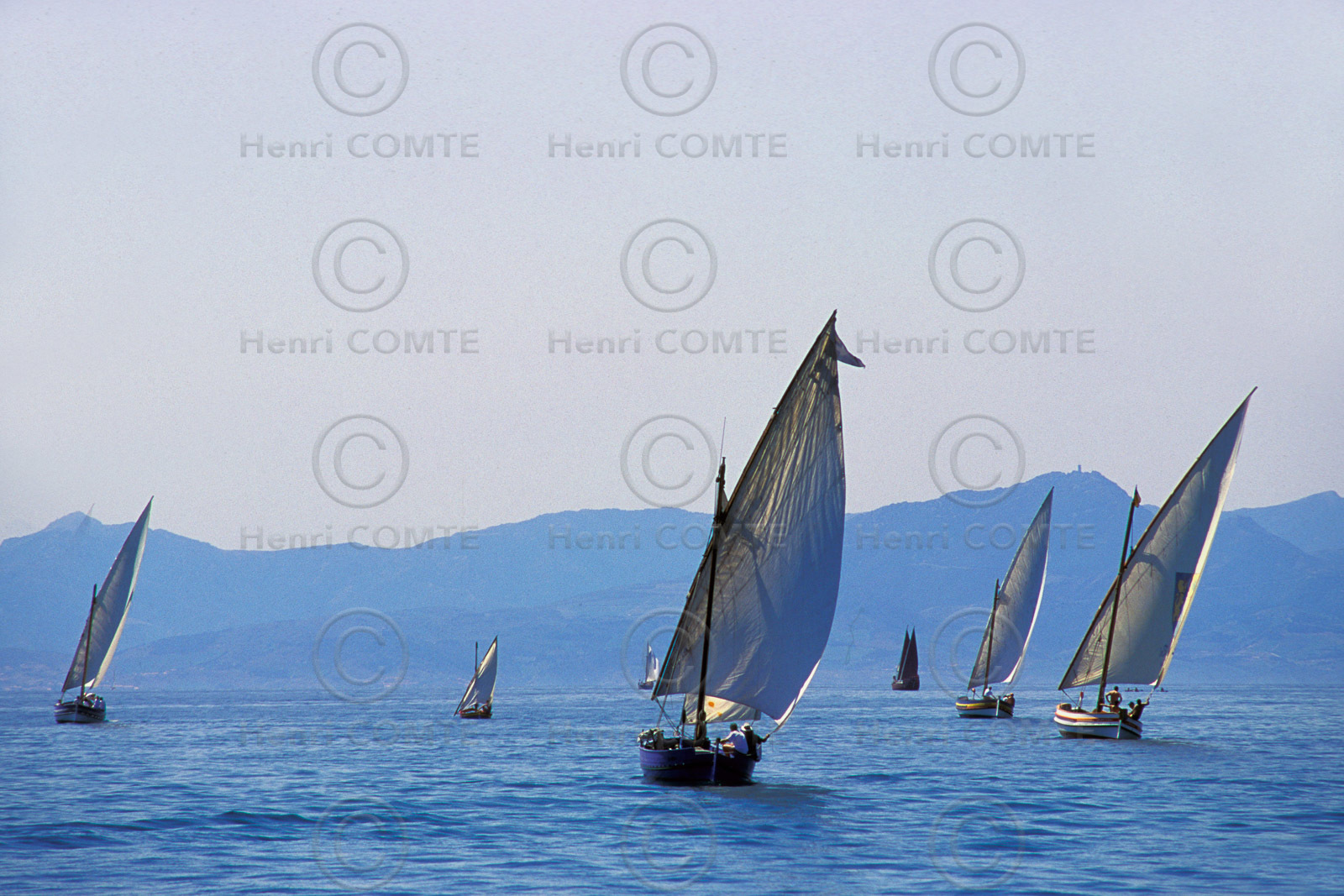 Voiles latines