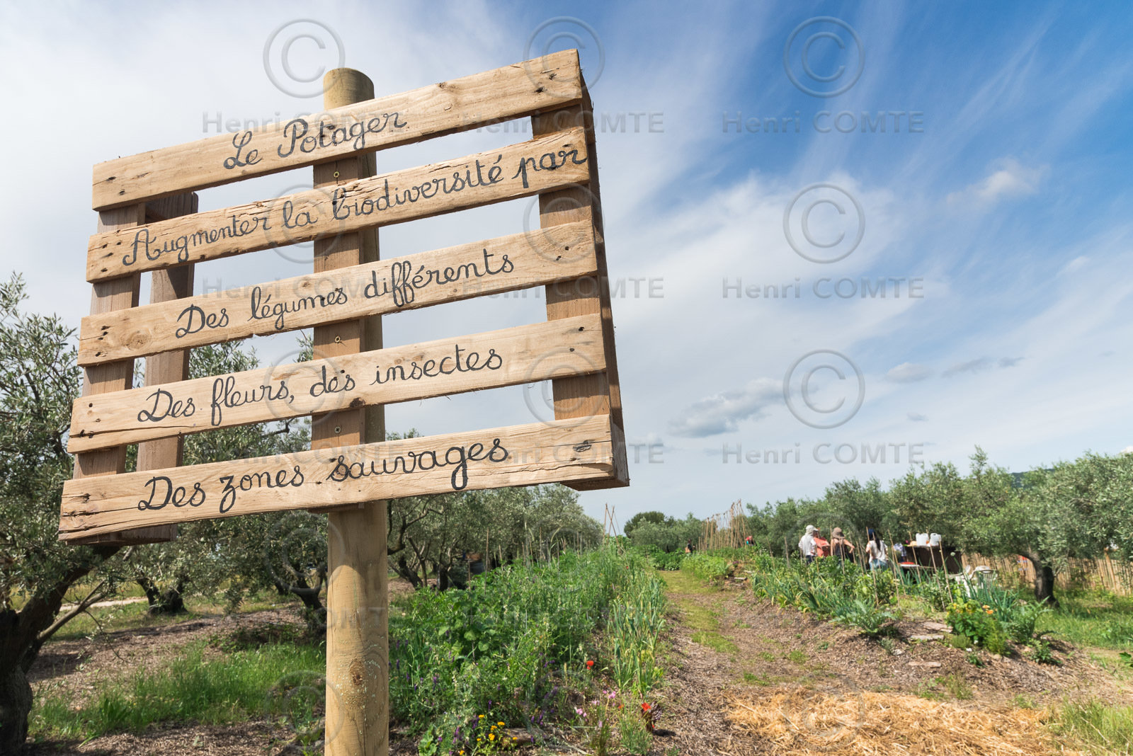 Permaculture
