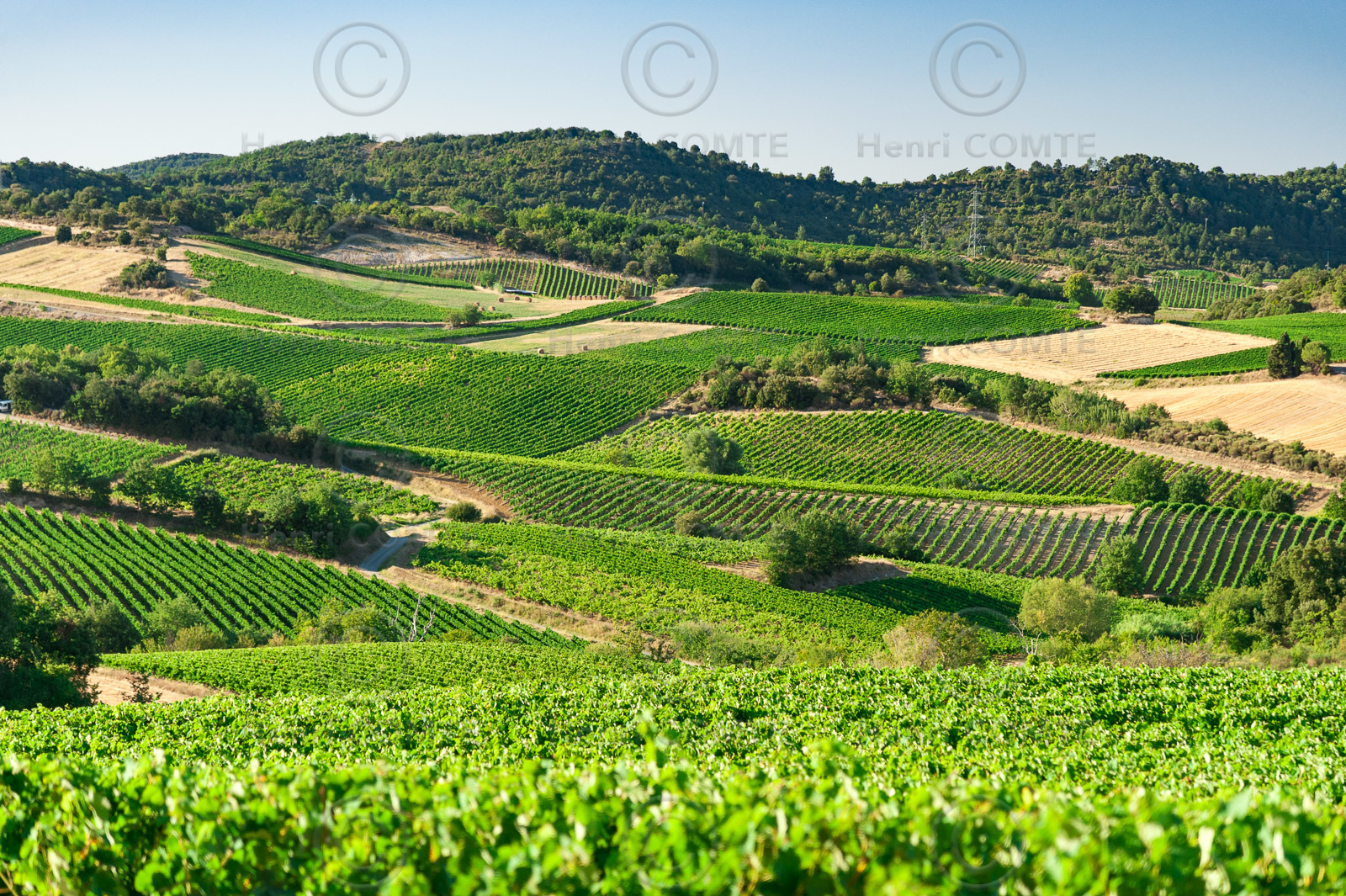 Vignoble de Limoux