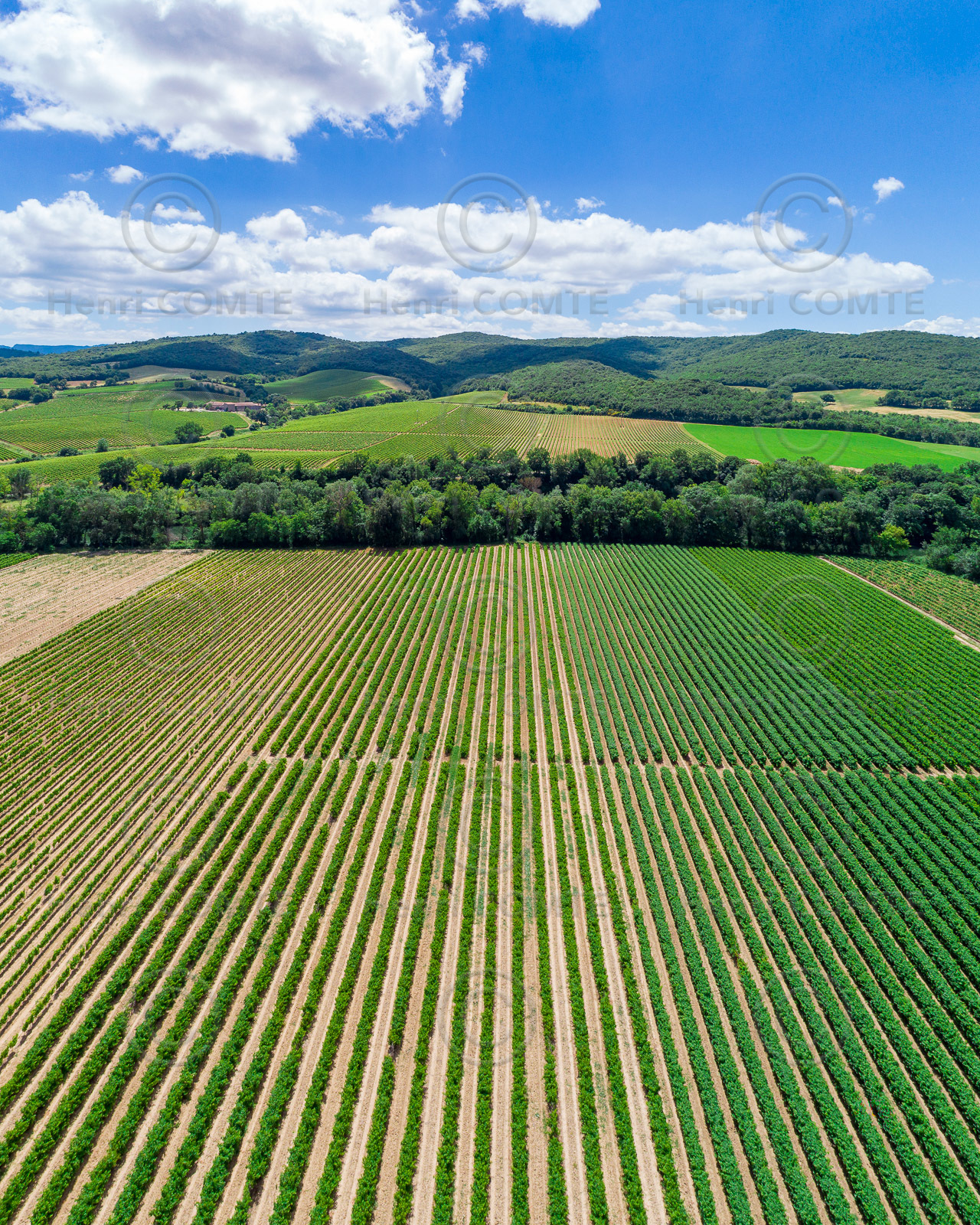 Vignoble Limoux