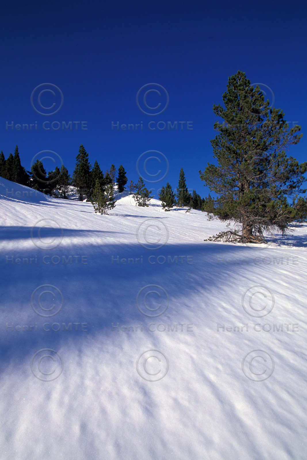 Massif du Carlit