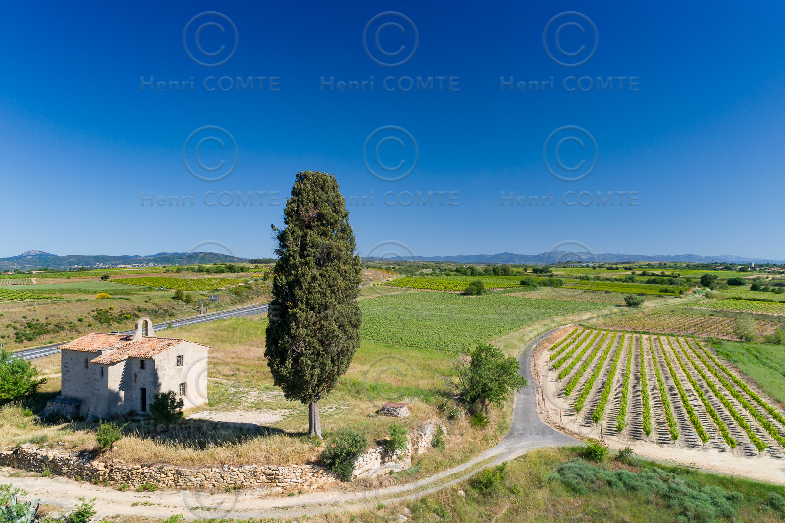 Cyprès