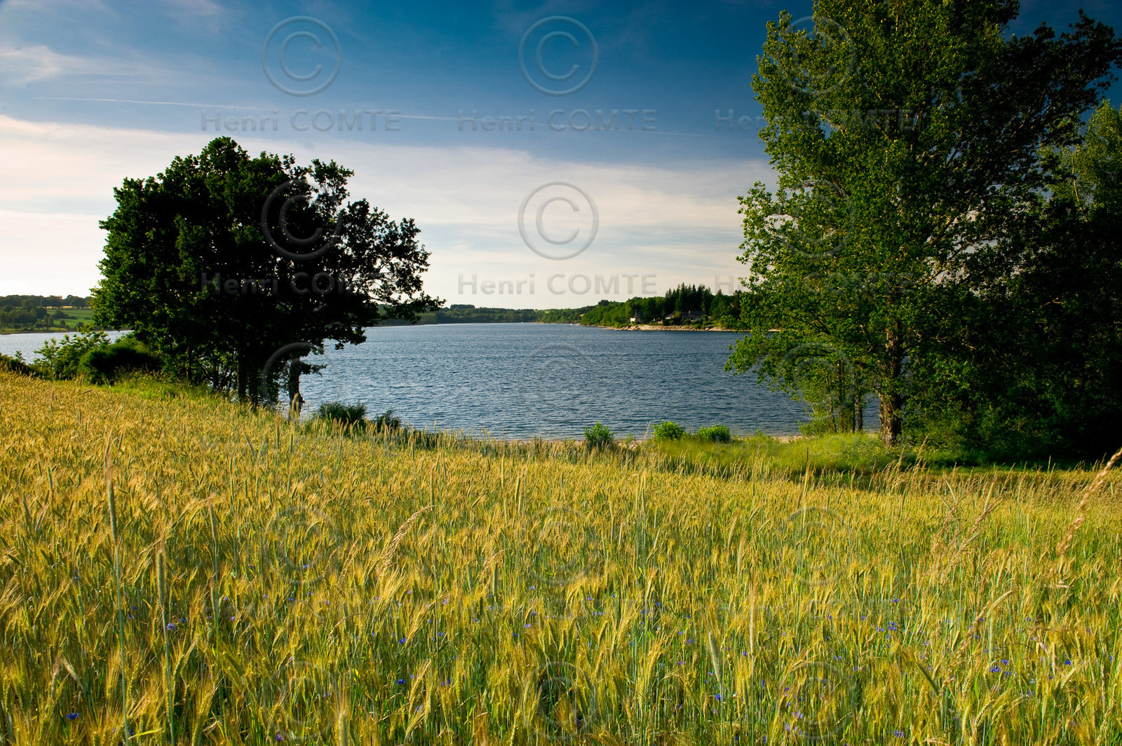 Lac de Pareloup