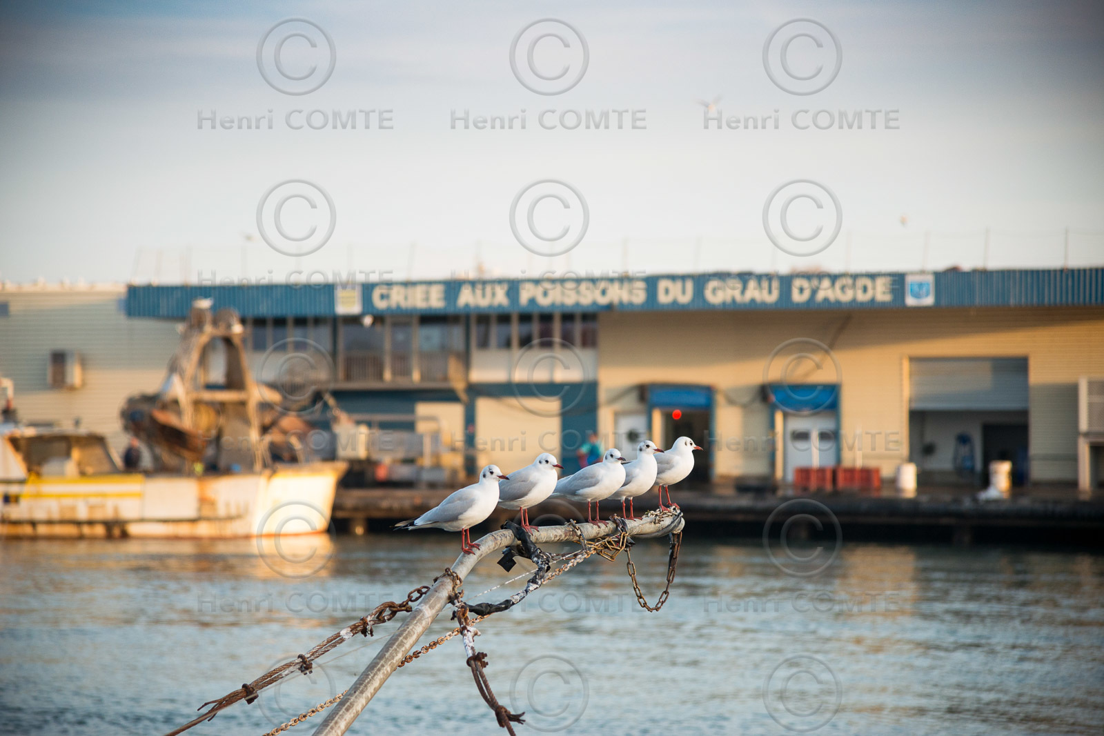 Grau d'Agde