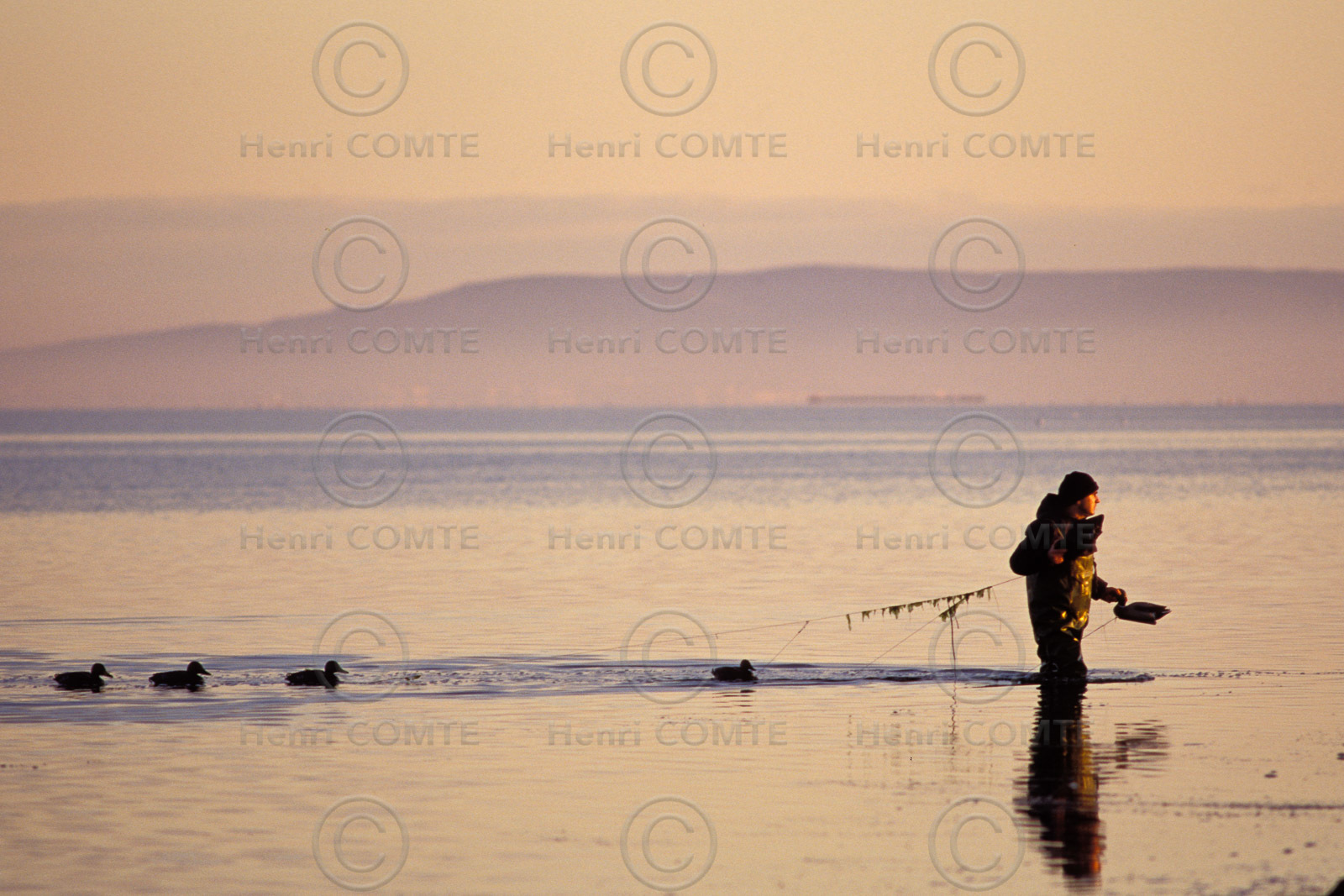 Chasseur