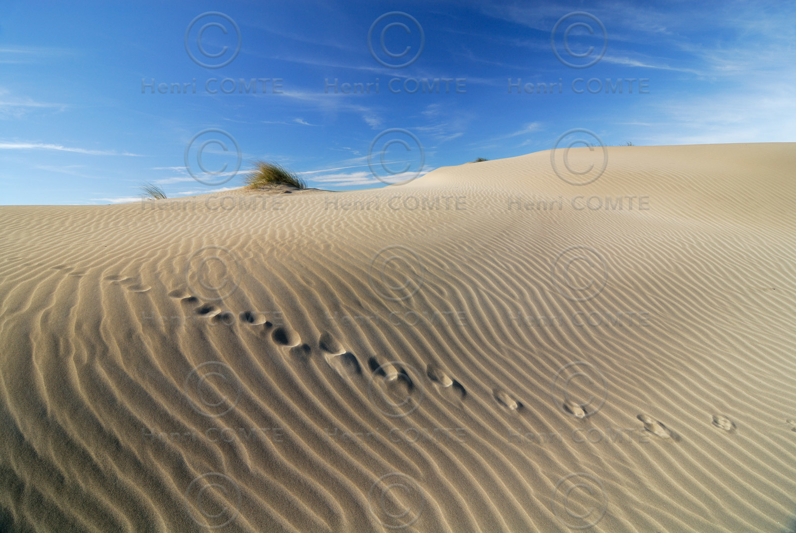 Plage Espiguette