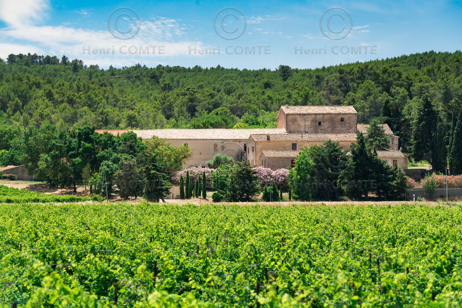 Domaine de Prax Viel