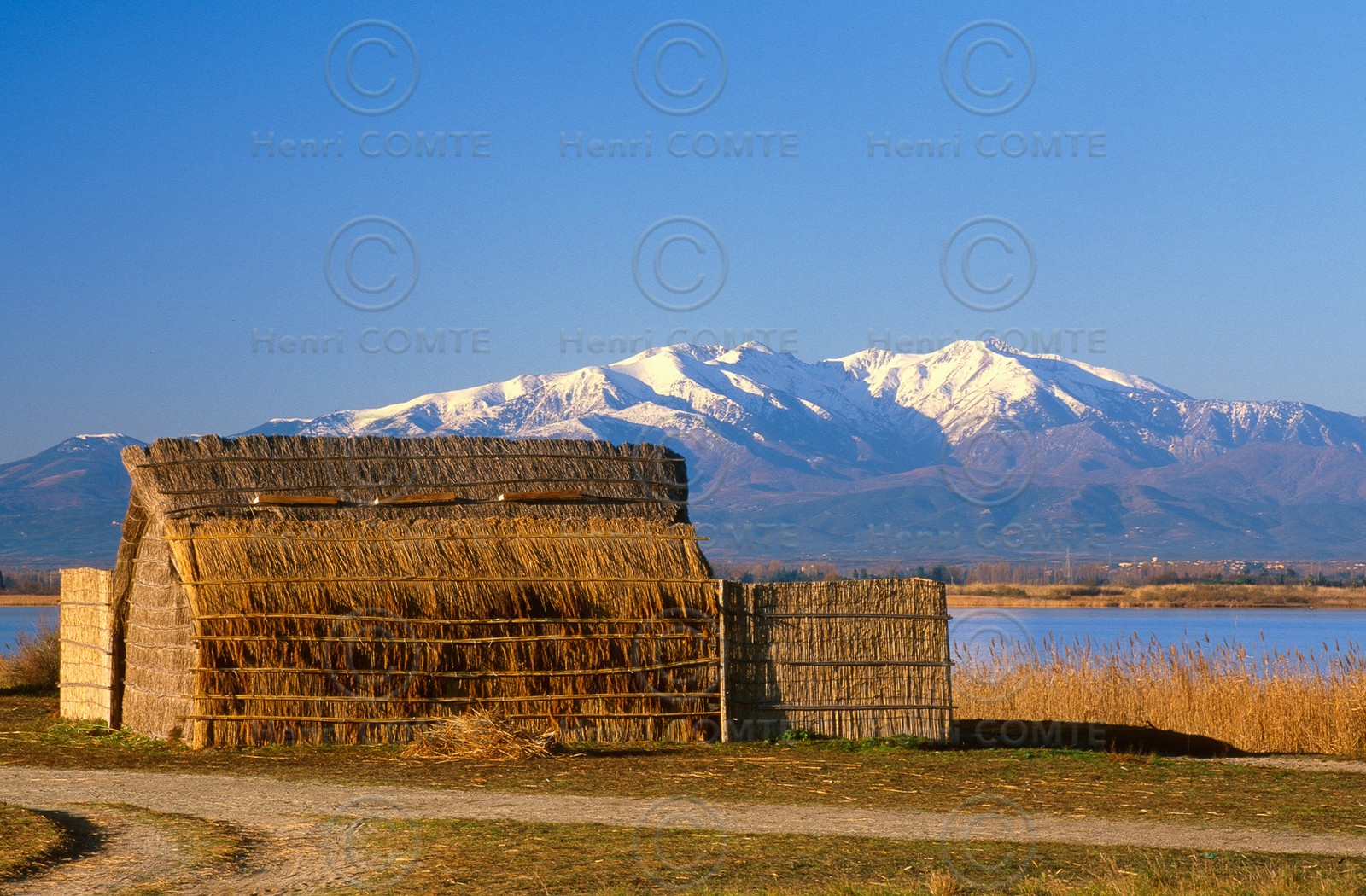 Etang de Canet