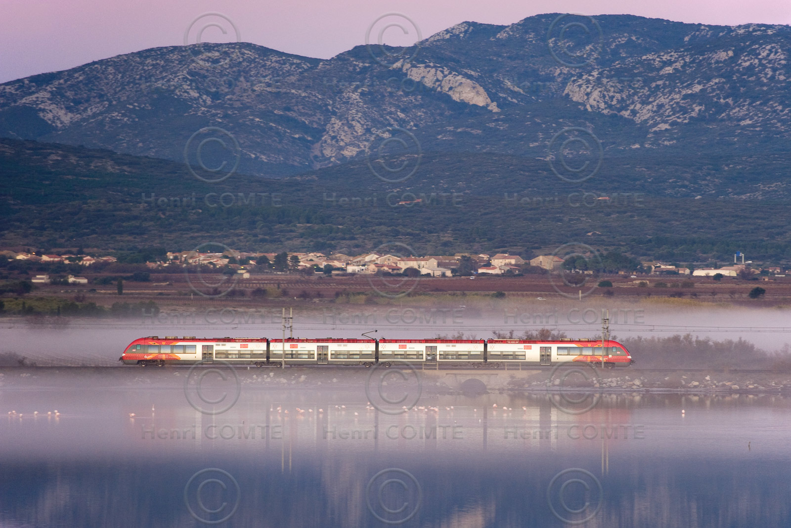 Train TER
